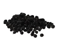 CASUARINAKOPPEN ANTRACIET PER 250 GRAM