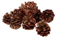 NATUUR OOSTENRIJKERS ROOD/GOUD IN NETJE P/20 NM