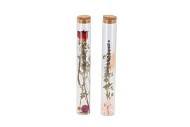 DRY FLOWERS IN TUBE 2 ASS 3X20CM