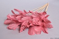 VEREN GANS OP STOK ROZE 72CM P/12