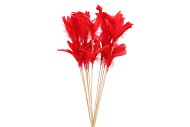 VEREN GANS OP STOK ROOD 72CM P/12