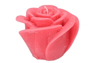 KAARS ROOS FUCHSIA 14X12CM 2022