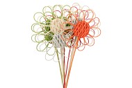 BIJSTEKER ROTAN BLOEM OP STOK 20CM ASS P/10