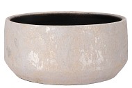 DUBAI BLUSHING ROSE COUPE 34X15CM