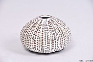 AQUIN VASE CREME 9X6CM