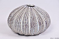AQUIN VASE CREAM 15,5X10CM
