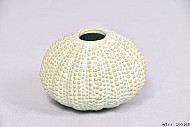 AQUIN VASE AQUA 9X6CM
