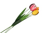 TUINPRIKKER TULP METAAL 75CM ASS P/1