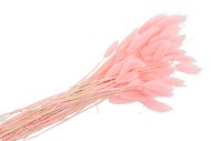 DRY LAGURUS PINK P/50 GRAM