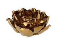 WAXINE SUCCULENT MAGNOLIA SHINY GOLD 10X11CM