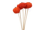 BIJSTEKER SISAL PUMPKIN ORANJE P/5