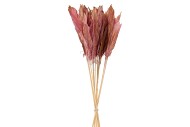 PLUMES ROSE SUR STICK 58CM P/12