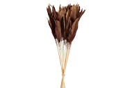 FEATHERS BURGUNDY ON STICK 58CM P/12