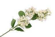 SILK HORTENSIA 3X WHITE 87CM