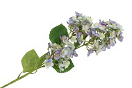SILK HORTENSIA 3X PURPLE 87CM
