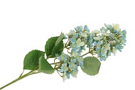 SILK HORTENSIA 3X BLUE 87CM