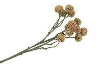 SILK SCABIOSA TAK LIGHT PINK 68CM