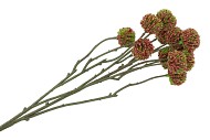 SILK SCABIOSA TAK RED 68CM