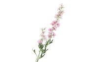 SILK DELPHINIUM PINK 93CM NM