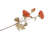 SILK POPPY 3X LIGHT PINK 76CM