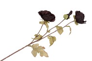 SILK POPPY TAK BLACK 96CM NM
