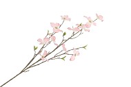 SILK KORNOELJE LICHT ROZE 105CM
