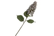 SILK HORTENSIA PLUME LAVENDEL 99CM