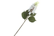 SILK HORTENSIA PLUME WHITE 99CM