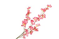 SILK WOLFBERRY PINK 106CM NM