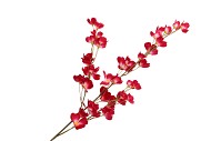 SILK WOLFBERRY DARK PINK 106CM NM