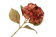 SILK HORTENSIA COPPER PINK 68CM