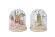 DRY FLOWERS STOLP NATURAL/BLEACHED 2ASS 8X10CM