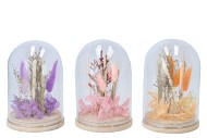 DRY FLOWERS STOLP PINK MIX 3ASS 10X16CM
