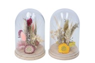 DRY FLOWERS STOLP COLOR MIX 2ASS 10X16CM