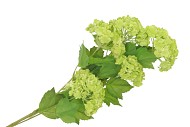 SILK VIBURNUM 5X GREEN 87CM