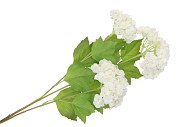 SILK VIBURNUM 3X CREME 67CM