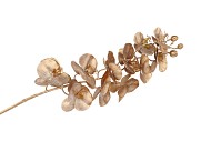 SILK DYE GOLD ORCHIDEE XL 73CM