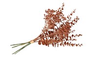 SILK DYE COPPER EUCALYPTUS BUNDLE