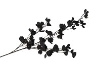 SILK DYE BLACK WOLFBERRY 106CM