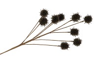 SILK PLANTANE BRANCH BLACK GLITTER 75X20X5CM