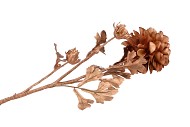 SILK DYE COPPER DAHLIA 65CM