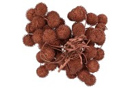 DRY PLATANE COPPER PER BUNDEL
