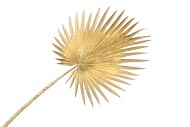 SILK LIVISTONIA BLAD GOLD