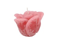 CANDLE ROOS BLUSH PINK 8X7CM