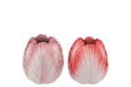 TOULON RED/PINK VASE ASS P/1 9X9X10CM NM