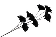 SILK FEATHER FLOWER BLACK 9 OP STEEL 110CM NM