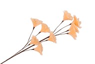 SILK FEATHER FLOWER PEACH 9 OP STEEL 110CM NM