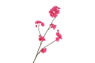 SILK CHERRY BLOSSOM PINK 85CM