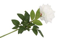 SILK PEONY TAK WHITE 71CM