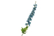 SILK DELPHINIUM TAK LIGHT BLUE 115CM NM